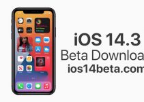 iOS 14.3 Beta Download